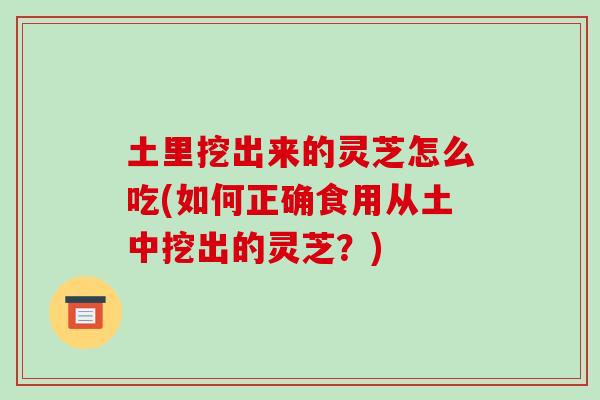 土里挖出来的灵芝怎么吃(如何正确食用从土中挖出的灵芝?)