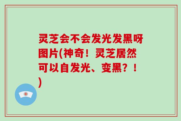 灵芝会不会发光发黑呀图片(神奇！灵芝居然可以自发光、变黑？！)