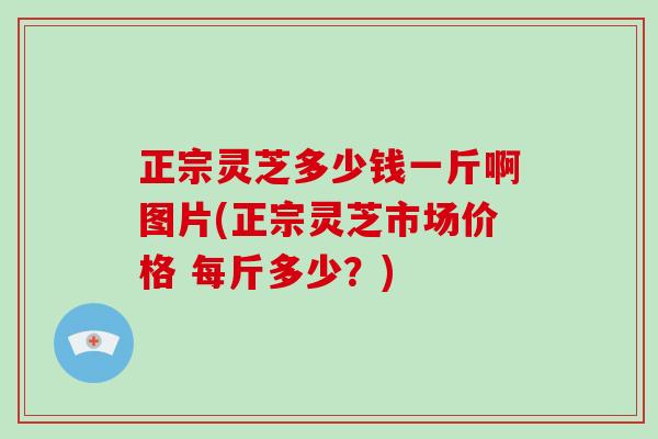 正宗灵芝多少钱一斤啊图片(正宗灵芝市场价格 每斤多少？)