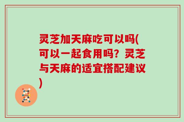 灵芝加天麻吃可以吗(可以一起食用吗?灵芝与天麻的适宜搭配建议)