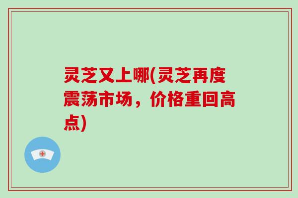 灵芝又上哪(灵芝再度震荡市场,价格重回高点)