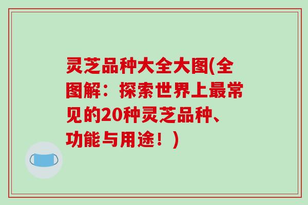 灵芝品种大全大图(全图解：探索世界上最常见的20种灵芝品种、功能与用途！)