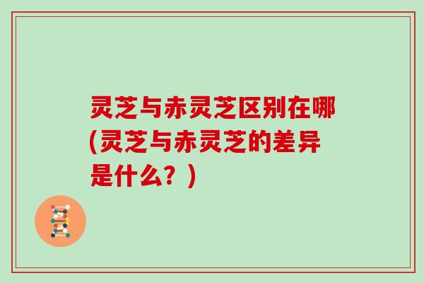 灵芝与赤灵芝区别在哪(灵芝与赤灵芝的差异是什么?)
