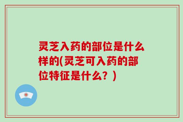 灵芝入药的部位是什么样的(灵芝可入药的部位特征是什么？)