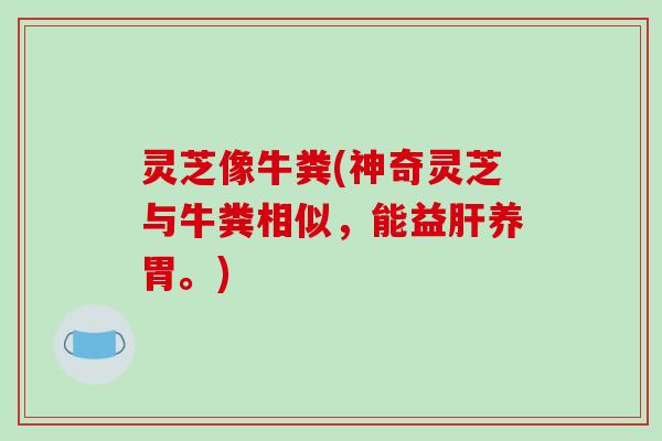 灵芝像牛粪(神奇灵芝与牛粪相似,能益肝养胃。)