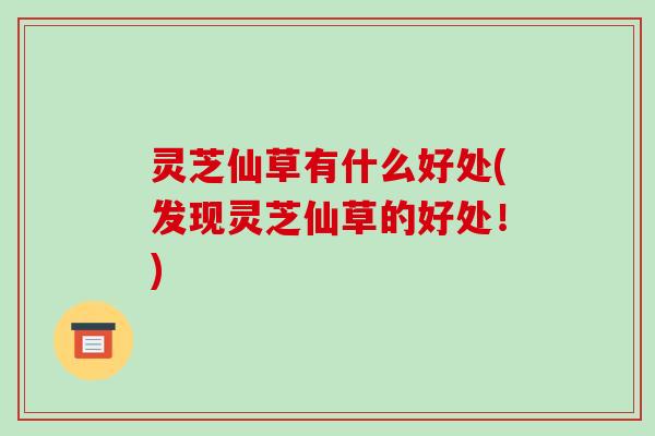 灵芝仙草有什么好处(发现灵芝仙草的好处!)