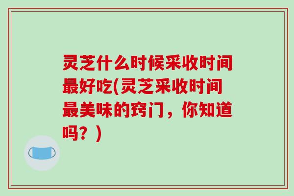 灵芝什么时候采收时间最好吃(灵芝采收时间最美味的窍门,你知道吗?)