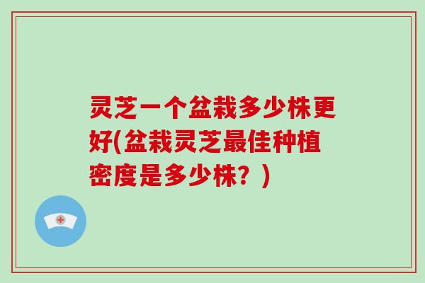 灵芝一个盆栽多少株更好(盆栽灵芝最佳种植密度是多少株？)
