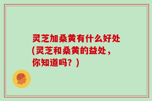 灵芝加桑黄有什么好处(灵芝和桑黄的益处，你知道吗？)