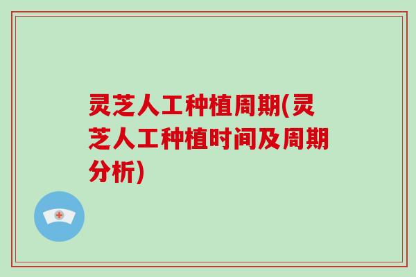 灵芝人工种植周期(灵芝人工种植时间及周期分析)