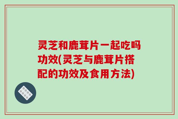 灵芝和鹿茸片一起吃吗功效(灵芝与鹿茸片搭配的功效及食用方法)
