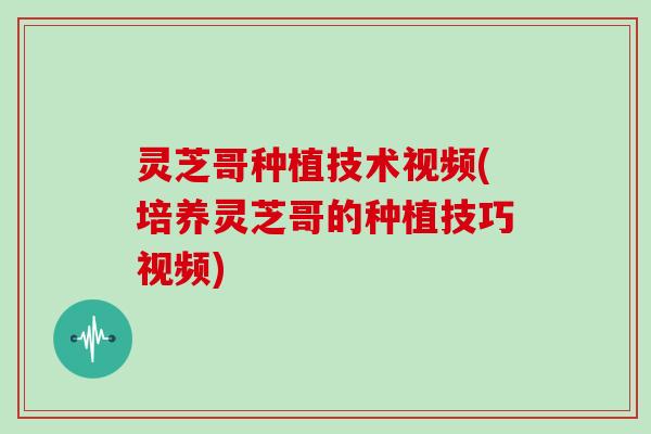 灵芝哥种植技术视频(培养灵芝哥的种植技巧视频)
