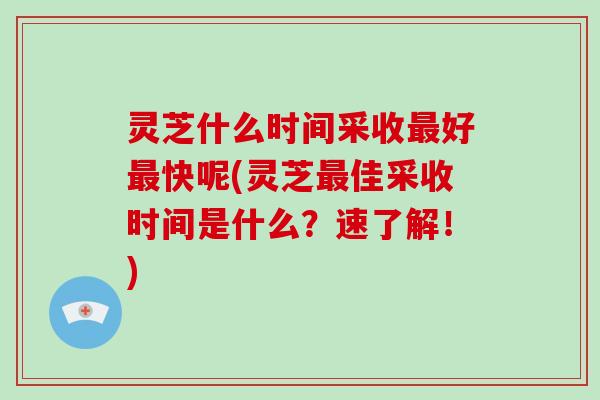 灵芝什么时间采收最好最快呢(灵芝最佳采收时间是什么?速了解!)