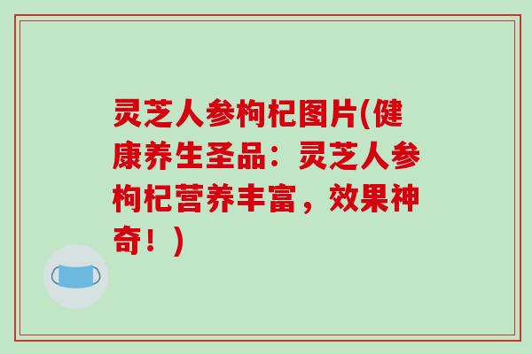灵芝人参枸杞图片(健康养生圣品:灵芝人参枸杞营养丰富,效果神奇!)