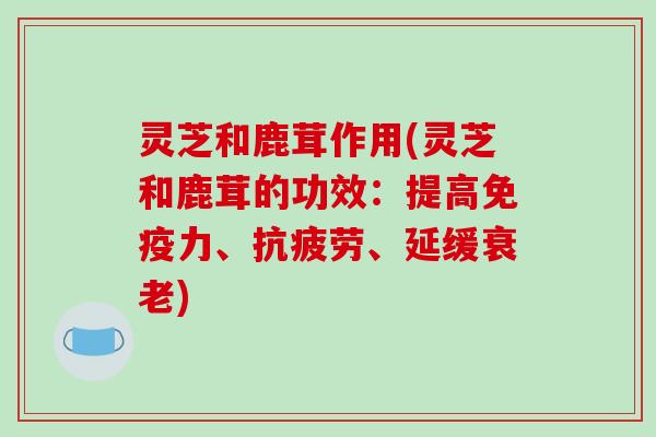 灵芝和鹿茸作用(灵芝和鹿茸的功效:提高免疫力、抗疲劳、延缓衰老)