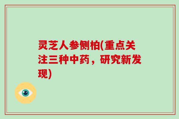 灵芝人参侧柏(重点关注三种中药，研究新发现)
