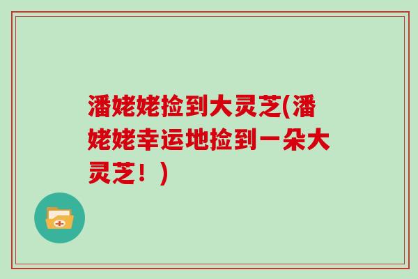潘姥姥捡到大灵芝(潘姥姥幸运地捡到一朵大灵芝!)