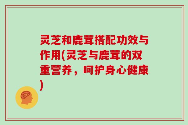灵芝和鹿茸搭配功效与作用(灵芝与鹿茸的双重营养,呵护身心健康)
