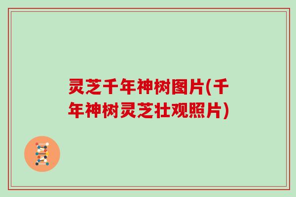 灵芝千年神树图片(千年神树灵芝壮观照片)