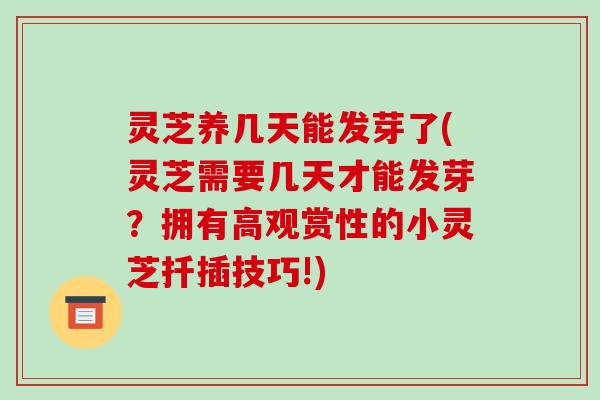 灵芝养几天能发芽了(灵芝需要几天才能发芽？拥有高观赏性的小灵芝扦插技巧!)