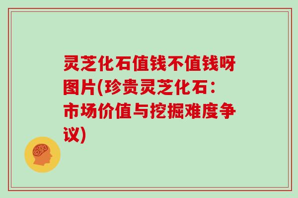 灵芝化石值钱不值钱呀图片(珍贵灵芝化石：市场价值与挖掘难度争议)
