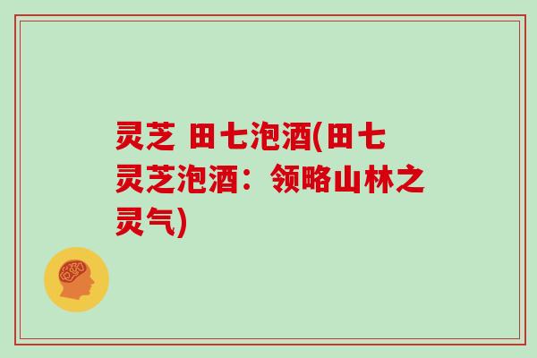 灵芝 田七泡酒(田七灵芝泡酒：领略山林之灵气)