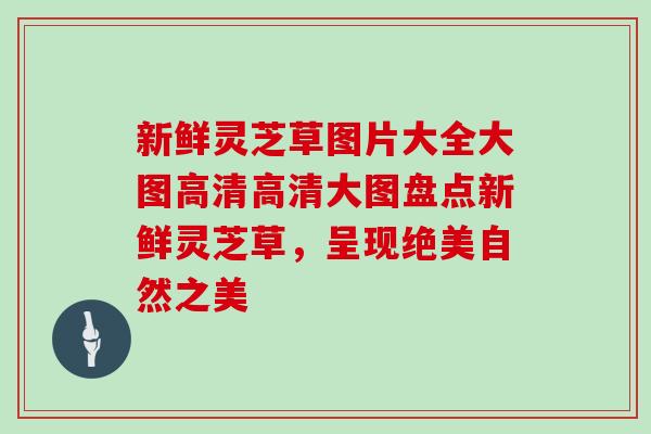 新鲜灵芝草图片大全大图高清高清大图盘点新鲜灵芝草,呈现绝美自然之美