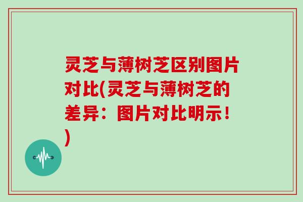 灵芝与薄树芝区别图片对比(灵芝与薄树芝的差异：图片对比明示！)