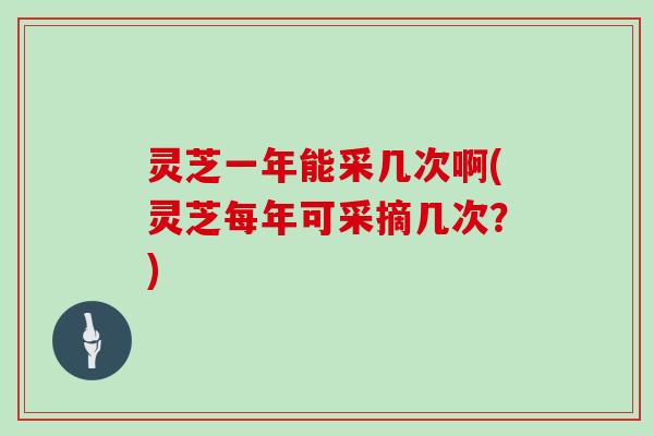 灵芝一年能采几次啊(灵芝每年可采摘几次？)