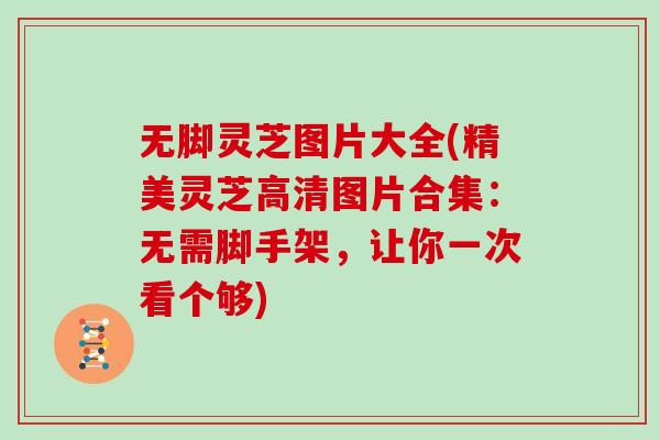 无脚灵芝图片大全(精美灵芝高清图片合集:无需脚手架,让你一次看个够)