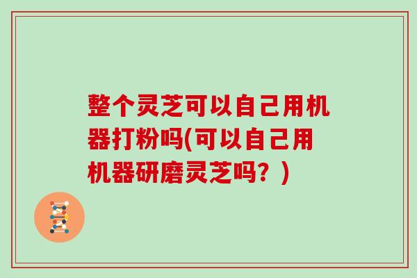 整个灵芝可以自己用机器打粉吗(可以自己用机器研磨灵芝吗?)