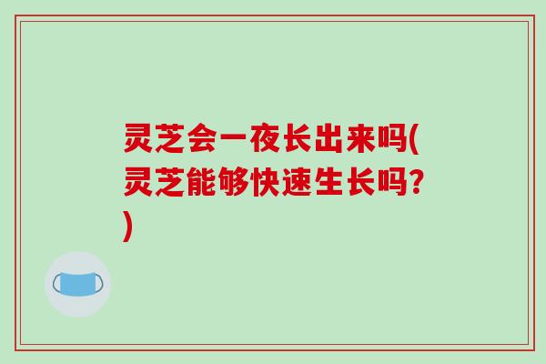 灵芝会一夜长出来吗(灵芝能够快速生长吗?)