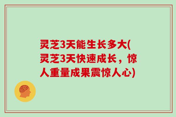 灵芝3天能生长多大(灵芝3天快速成长,惊人重量成果震惊人心)