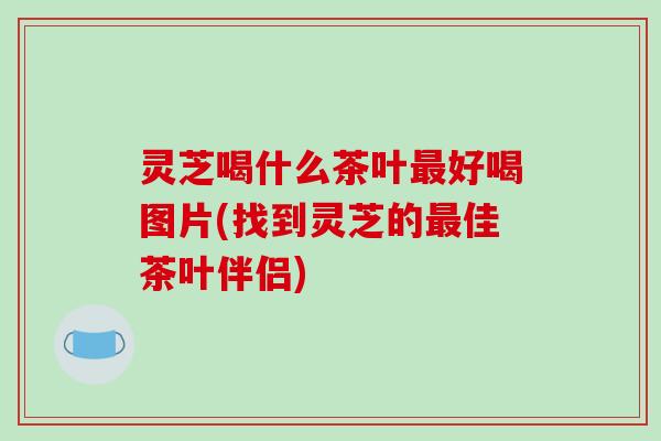灵芝喝什么茶叶最好喝图片(找到灵芝的最佳茶叶伴侣)