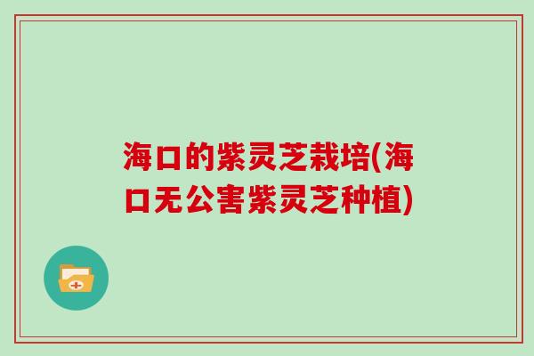 海口的紫灵芝栽培(海口无公害紫灵芝种植)