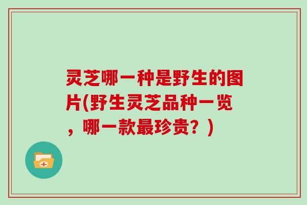 灵芝哪一种是野生的图片(野生灵芝品种一览,哪一款最珍贵?)