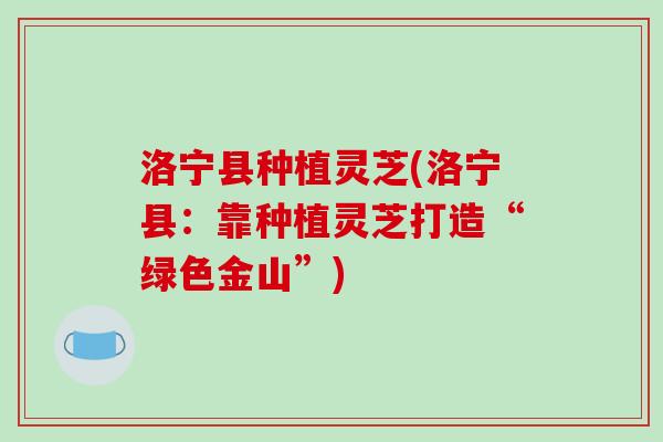 洛宁县种植灵芝(洛宁县:靠种植灵芝打造“绿色金山”)