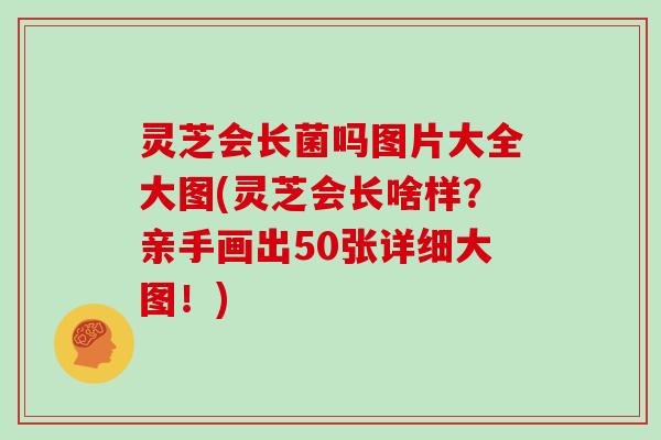 灵芝会长菌吗图片大全大图(灵芝会长啥样?亲手画出50张详细大图!)