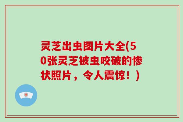 灵芝出虫图片大全(50张灵芝被虫咬破的惨状照片,令人震惊!)