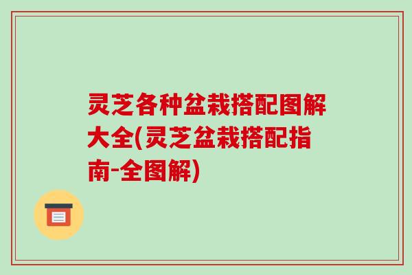 灵芝各种盆栽搭配图解大全(灵芝盆栽搭配指南-全图解)
