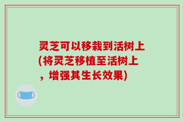 灵芝可以移栽到活树上(将灵芝移植至活树上,增强其生长效果)