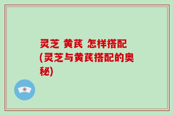 灵芝 黄芪 怎样搭配(灵芝与黄芪搭配的奥秘)