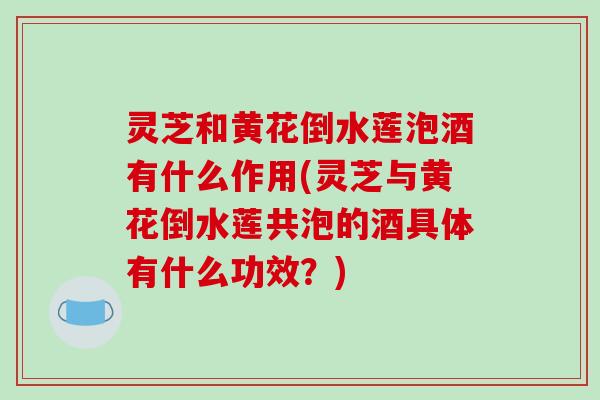 灵芝和黄花倒水莲泡酒有什么作用(灵芝与黄花倒水莲共泡的酒具体有什么功效？)