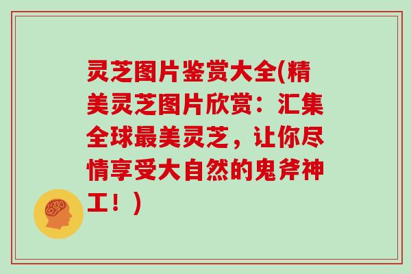 灵芝图片鉴赏大全(精美灵芝图片欣赏:汇集全球最美灵芝,让你尽情享受大自然的鬼斧神工!)