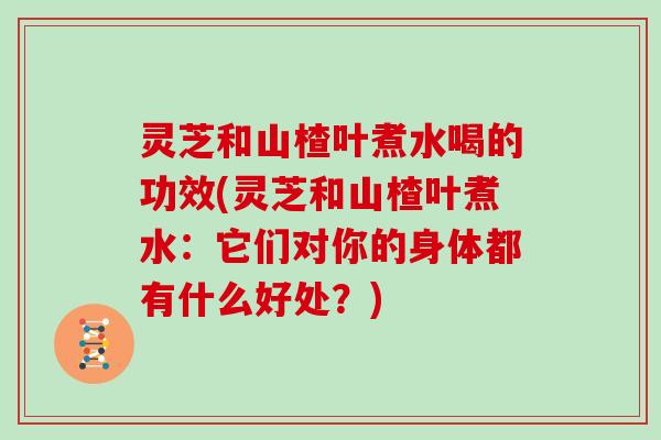 灵芝和山楂叶煮水喝的功效(灵芝和山楂叶煮水:它们对你的身体都有什么好处?)