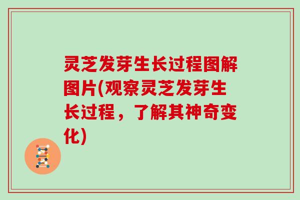 灵芝发芽生长过程图解图片(观察灵芝发芽生长过程,了解其神奇变化)