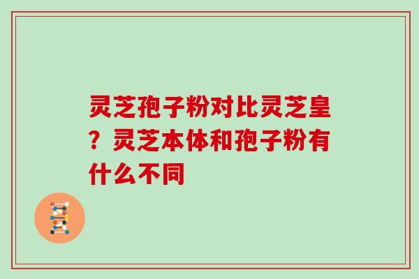 灵芝孢子粉对比灵芝皇?灵芝本体和孢子粉有什么不同