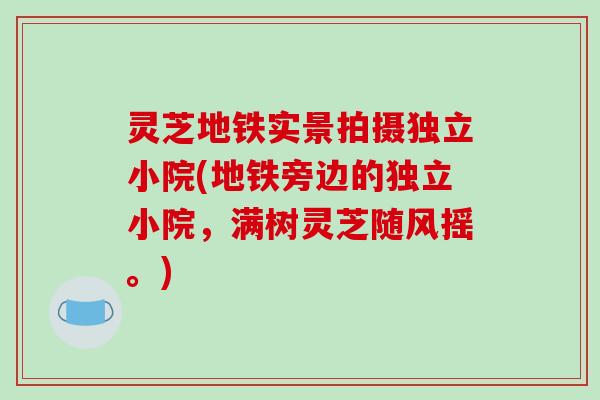 灵芝地铁实景拍摄独立小院(地铁旁边的独立小院，满树灵芝随风摇。)