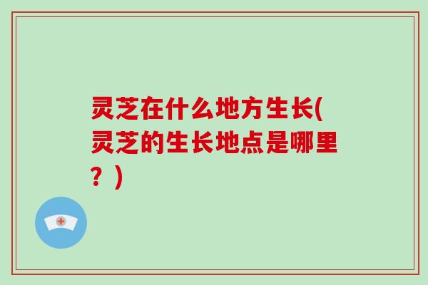 灵芝在什么地方生长(灵芝的生长地点是哪里?)