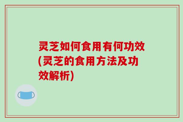灵芝如何食用有何功效(灵芝的食用方法及功效解析)